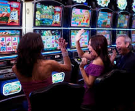 大小单双导师带赚包赔免费版