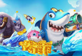 大小单双导师带赚包赔正式版