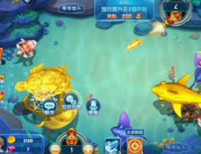 大小单双导师带赚包赔2024最新版