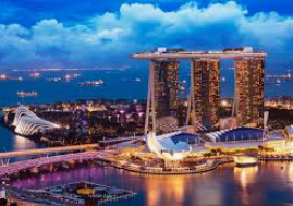 大小单双导师带赚包赔2024最新版